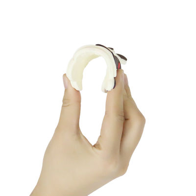 Bebê colorido silicone personalizado Teether com cavalo Dino Shape dos carneiros