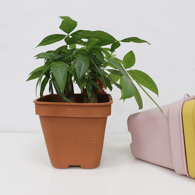 Multi potenciômetro de flor funcional Eco do silicone amigável com logotipo personalizado
