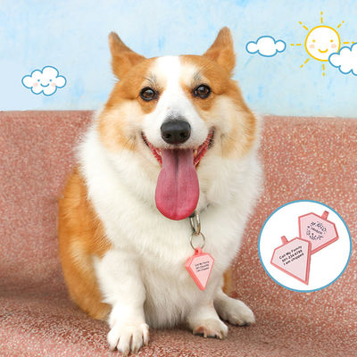 PAISEN Etiquetas personalizadas personalizadas para cães Código QR gravado em 3D Cães Colarinho de gato Etiqueta de silicone para animais